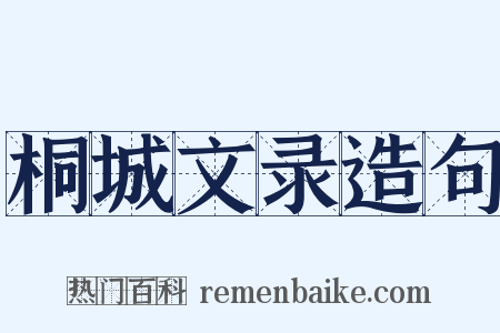 桐城文录造句是什么意思的图片